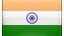 Commercio Internazionale India